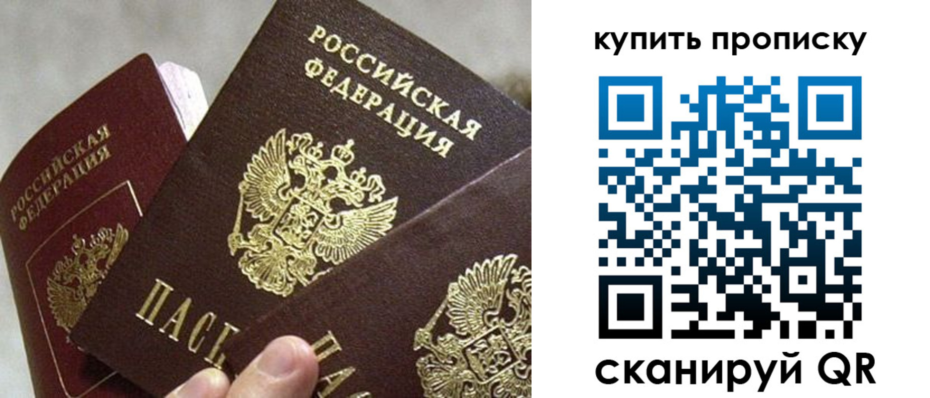 прописка для школы в Северске